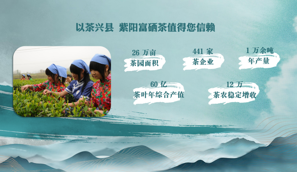 紫阳富硒茶的品质特征