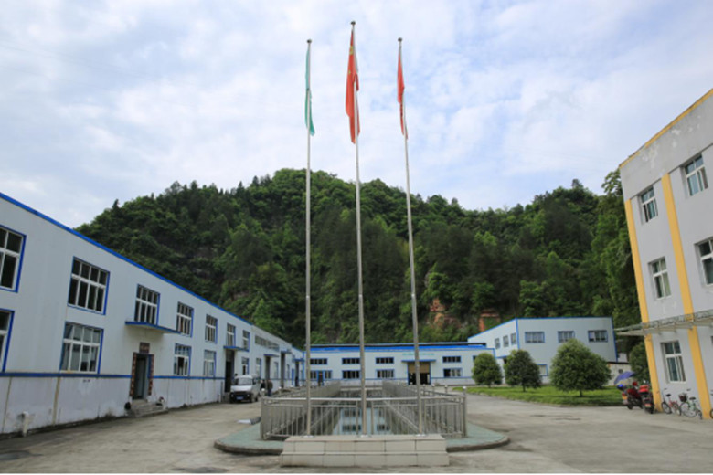 有名的富硒茶玉露工厂(恩施玉露富硒茶多少钱)-硒宝网