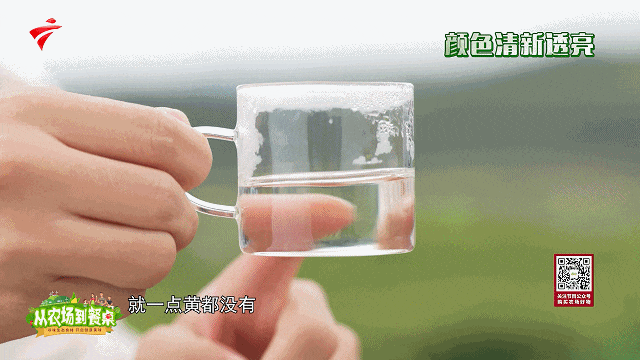 肝不好能喝富硒茶绿茶