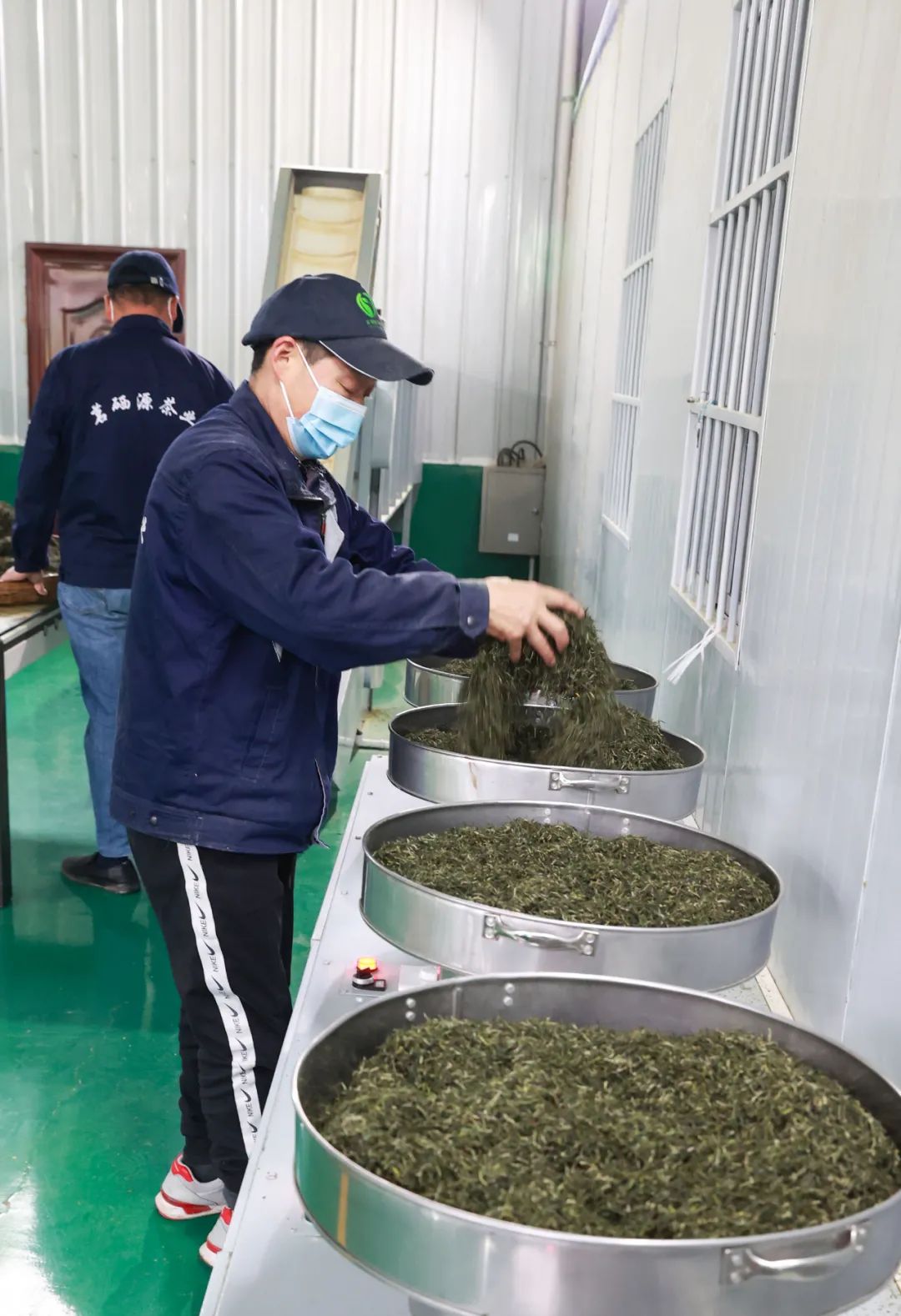 紫阳富硒茶新茶多少钱