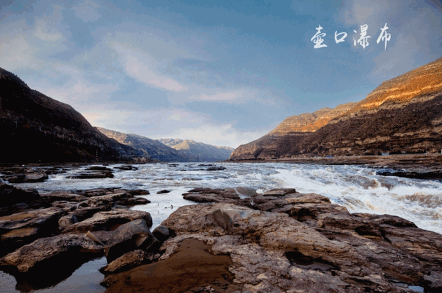 紫阳富硒茶给您拜年啦