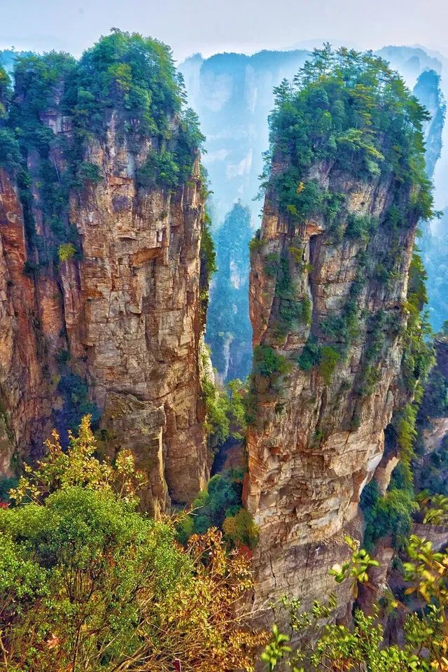 恩施富硒茶价格表湖北