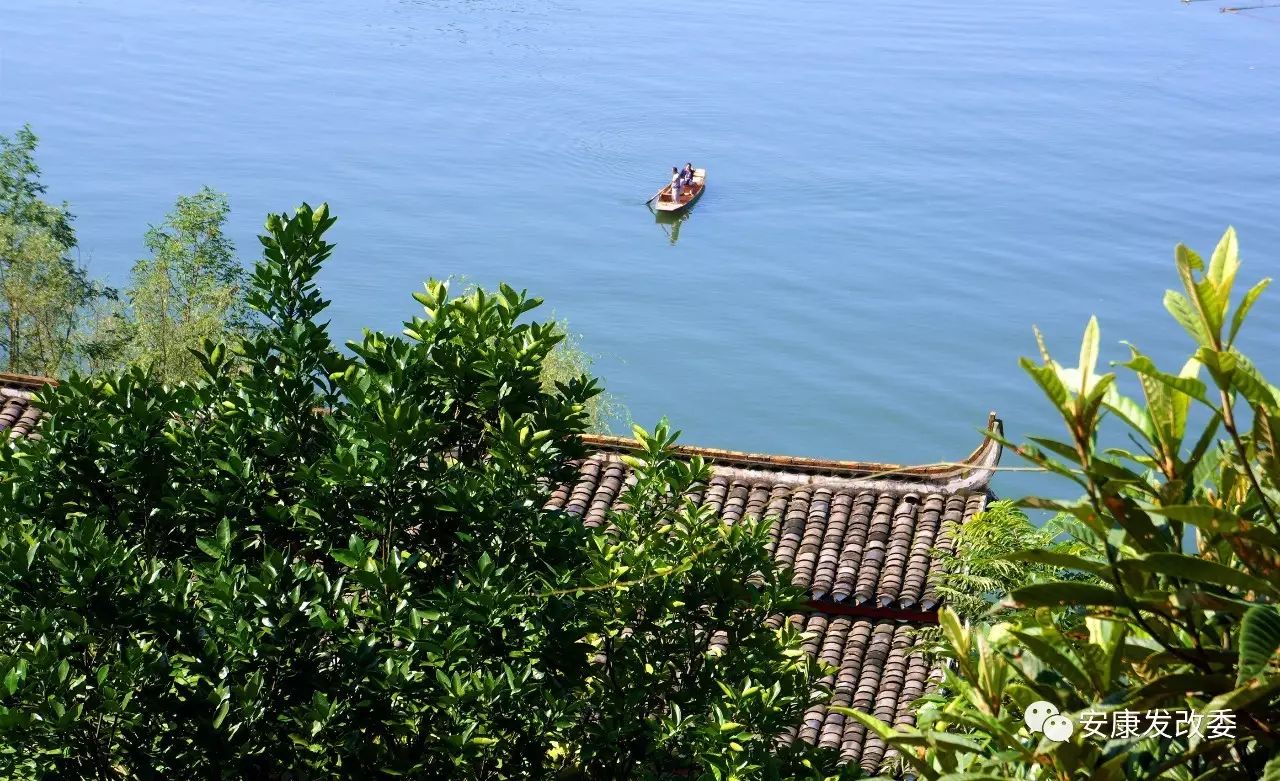 巴山天然富硒茶怎么样