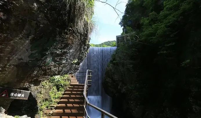 富硒茶什么人不能喝了