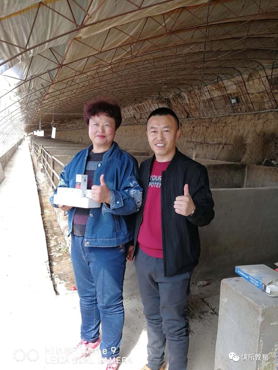 如何补铁效果最好
