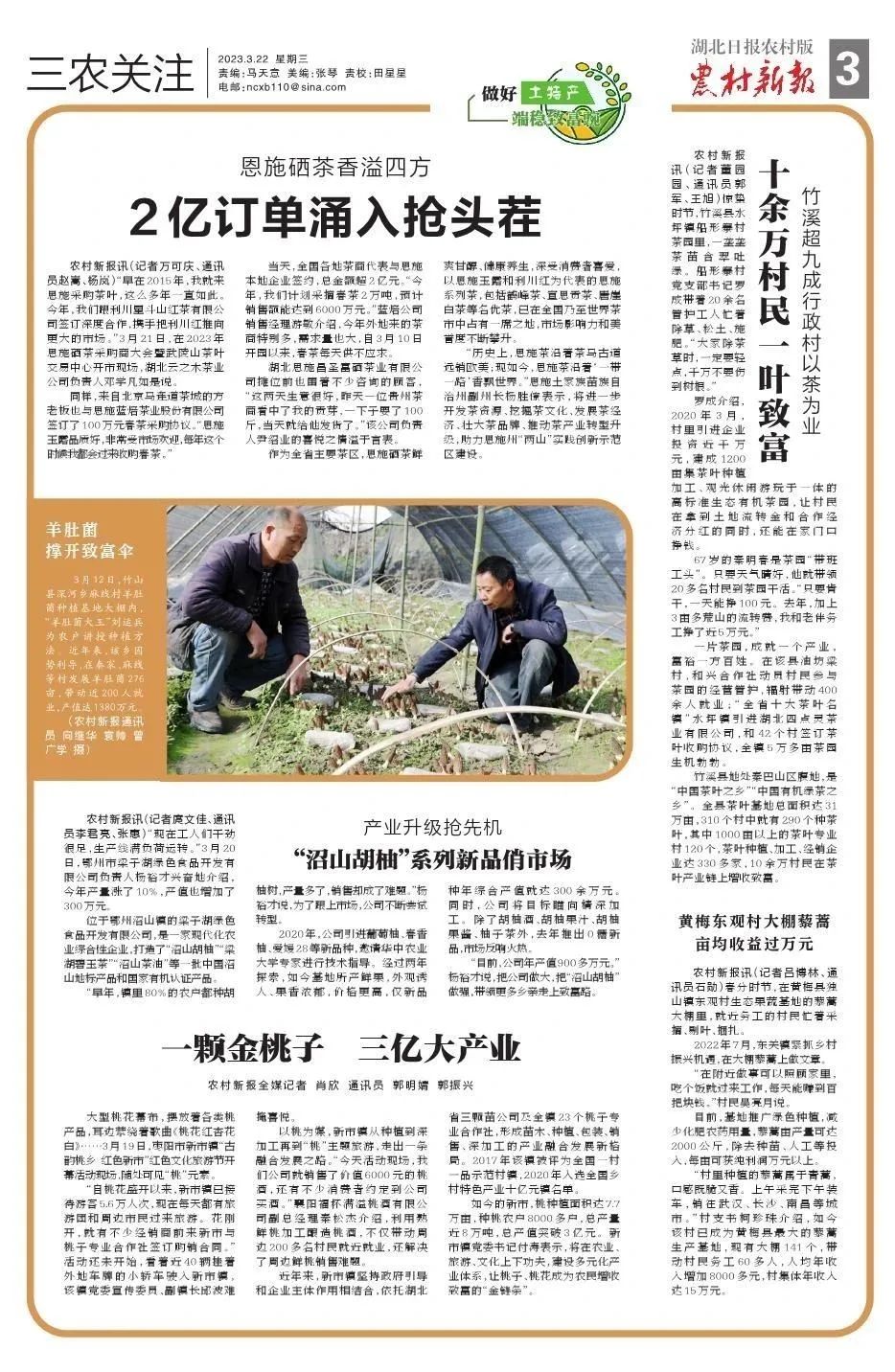 南昌富硒茶玉露多少钱
