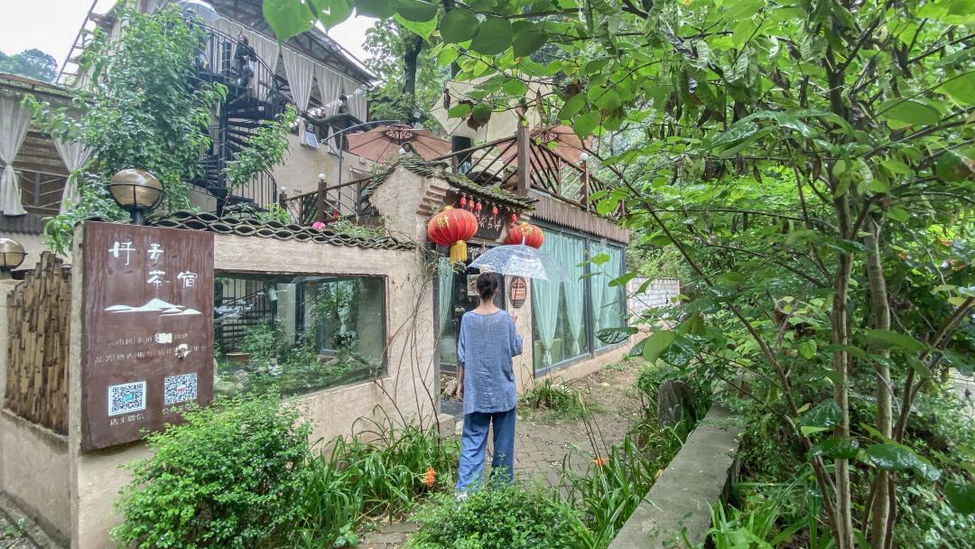 紫阳富硒茶选哪家的好