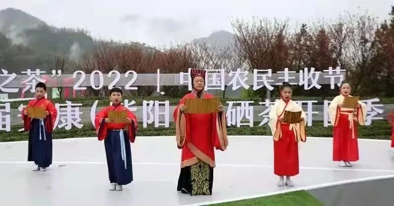 陕西紫阳县富硒茶开园
