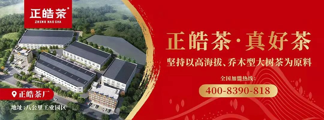 陕西紫阳县富硒茶开园