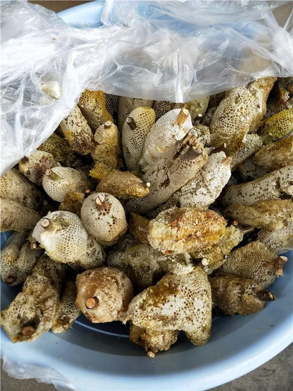 云南原生富硒茶怎么样