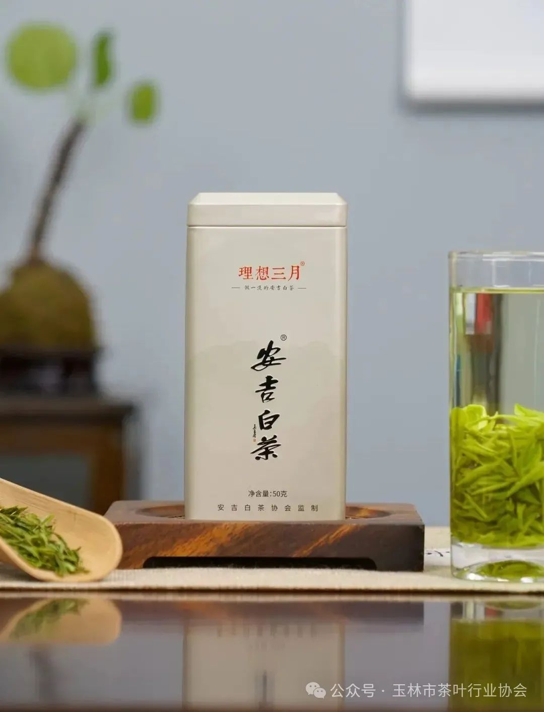 富硒茶属于绿茶吗对吗(绿茶富硒吗)-硒宝网
