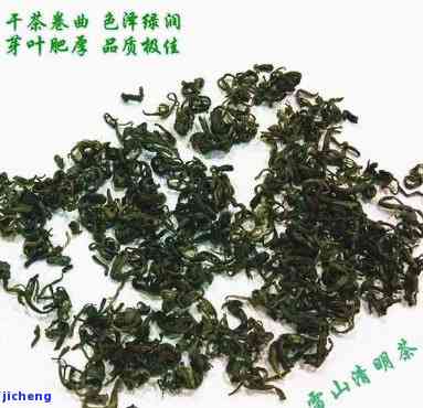 雷公山清明茶：品种、分类及功效解析