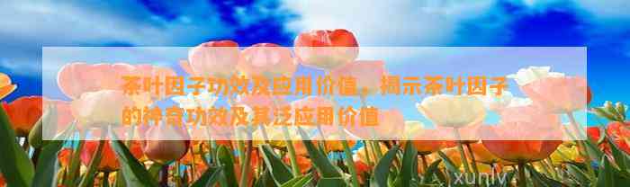 茶叶因子功效及应用价值，揭示茶叶因子的神奇功效及其泛应用价值
