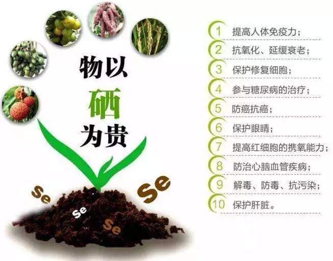 富硒高钙养心茶哪家好