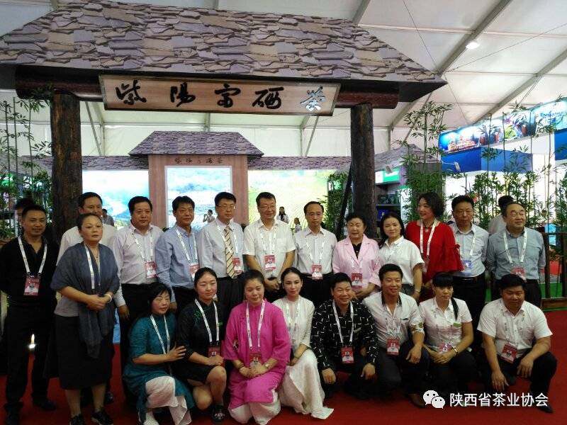 安康紫阳富硒茶宣传片