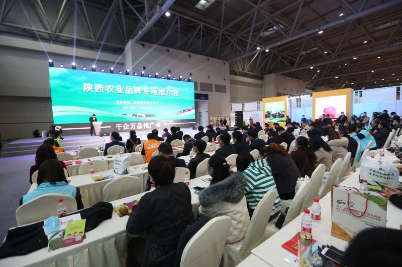 安康富硒茶推介会新闻