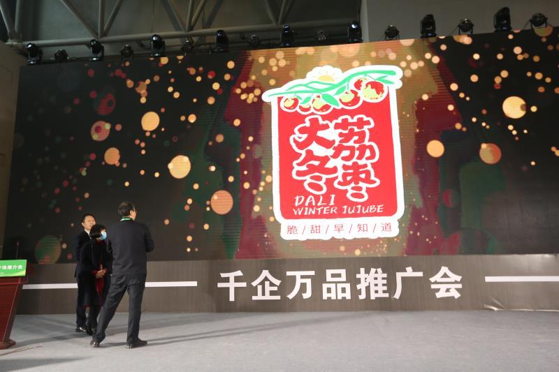 安康富硒茶推介会新闻