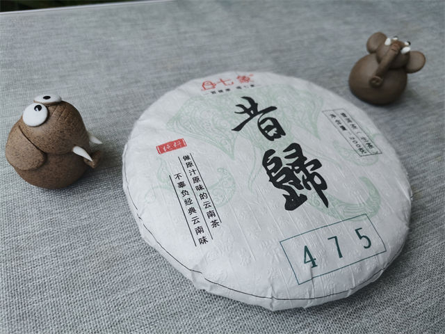 长春哪里买普洱茶？
