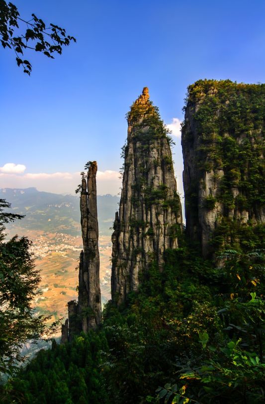 高坪富硒茶有什么功效