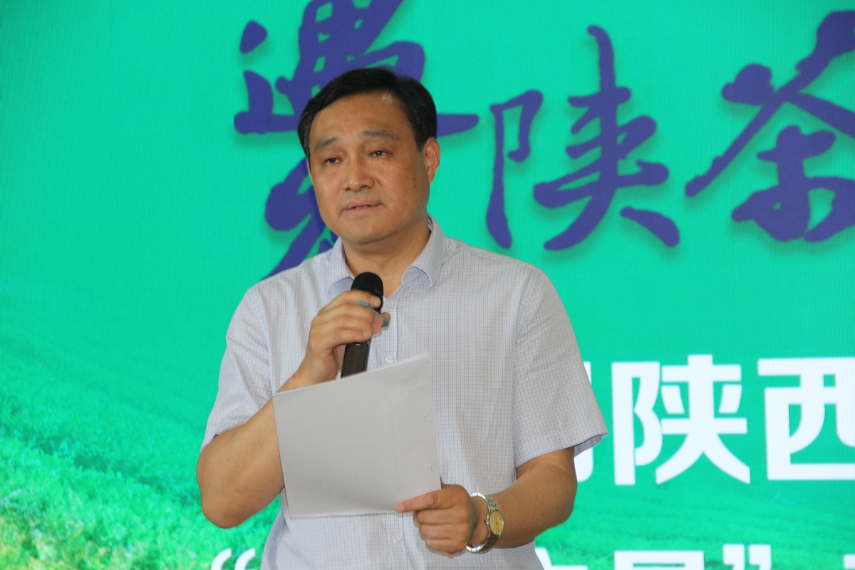 汉中仙毫和安康富硒茶