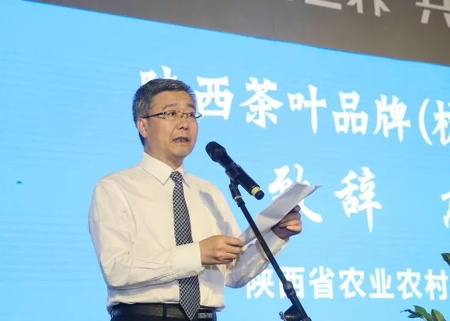 汉中仙毫和安康富硒茶(汉中仙毫2021新茶价格)-硒宝网