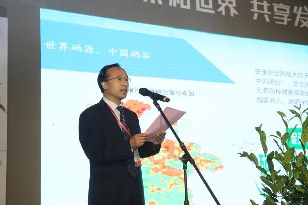 汉中仙毫和安康富硒茶(汉中仙毫2021新茶价格)-硒宝网