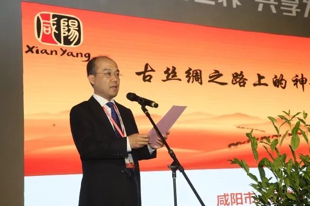 汉中仙毫和安康富硒茶(汉中仙毫2021新茶价格)-硒宝网