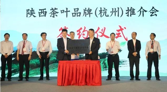 汉中仙毫和安康富硒茶(汉中仙毫2021新茶价格)-硒宝网