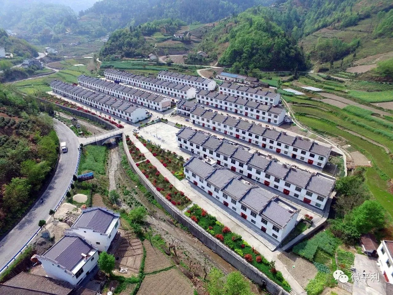 安家坪富硒茶是哪里的
