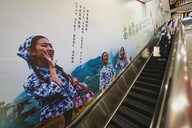 中国陕西富硒茶排行榜