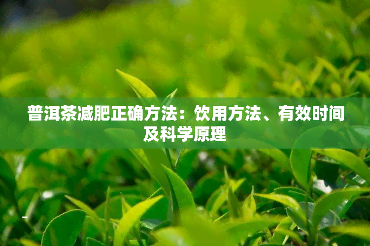 普洱茶减肥正确方法：饮用方法、有效时间及科学原理