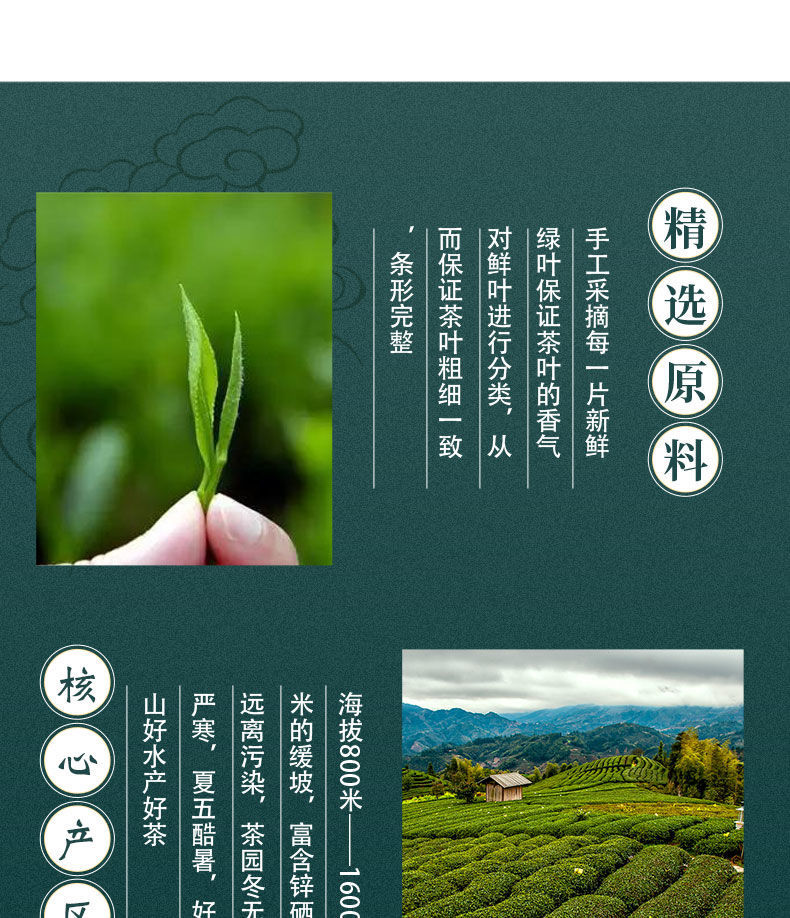 宁强雀舌和紫阳富硒茶(紫阳富硒茶品牌价值)-硒宝网