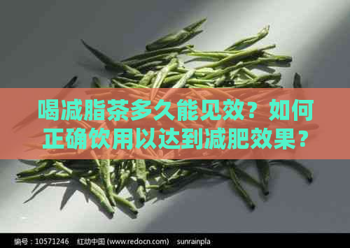 喝减脂茶多久能见效？如何正确饮用以达到减肥效果？
