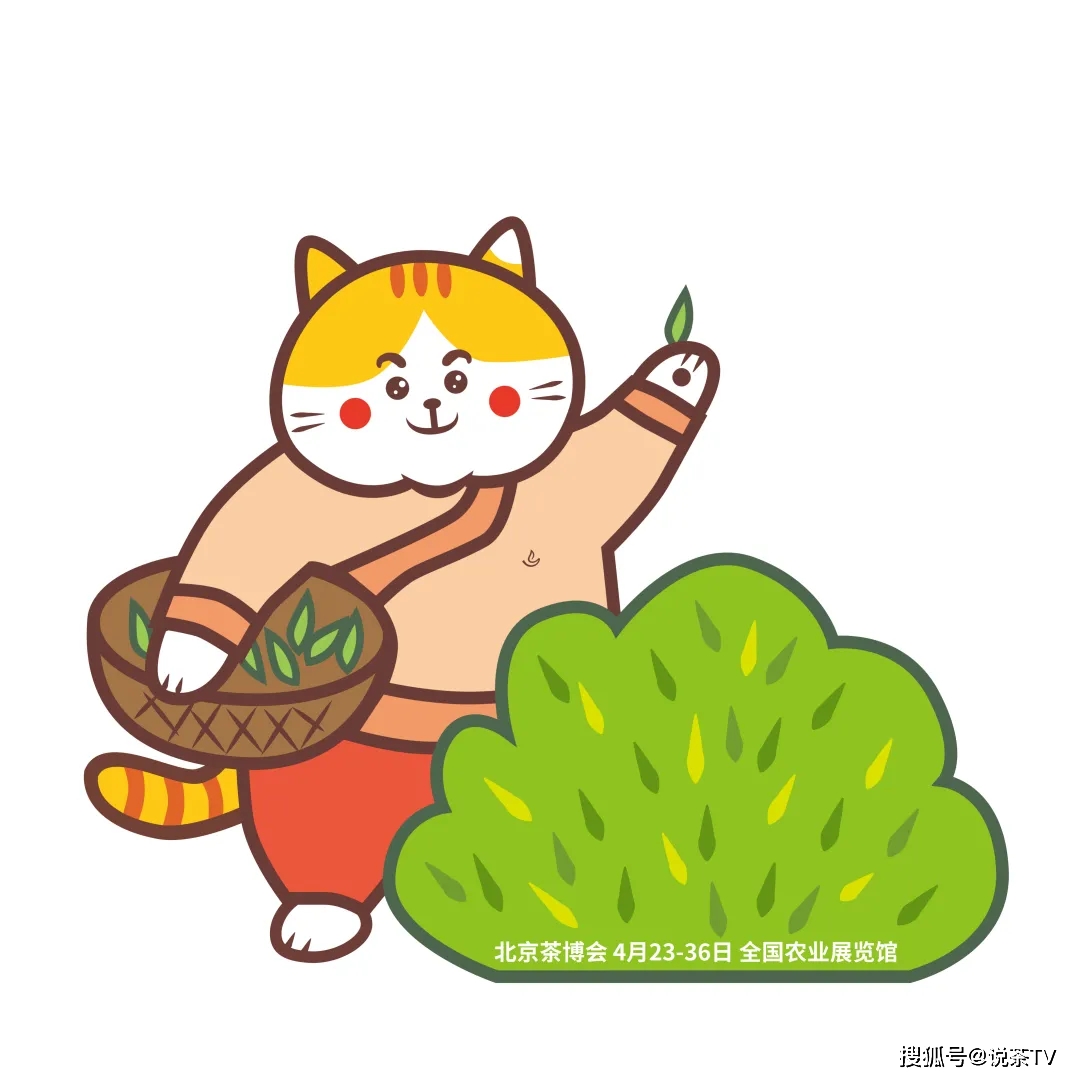 诏安富硒茶是哪里产的