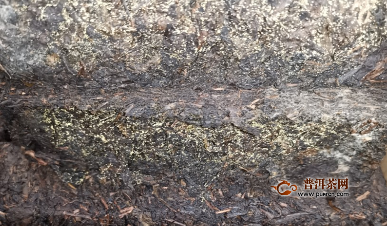 黑茶真的致癌吗？喝黑茶抗癌的案例！