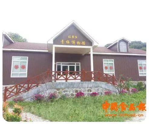 福建诏安青梅红透天 产业协会展工夫
