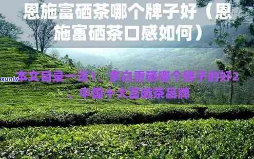 探索恩富硒茶口感：独特韵味，值得一试