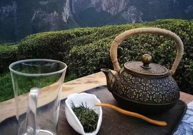 富硒藤茶多少度水冲泡
