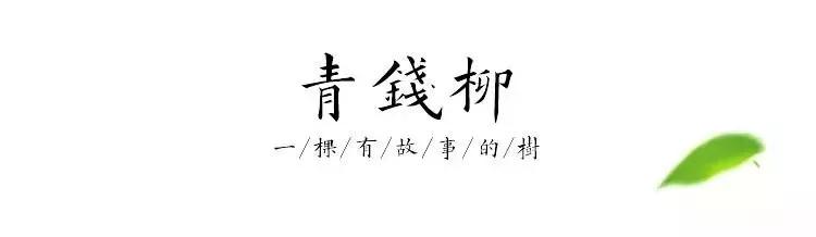 富硒血通茶能降血糖吗(血糖能降茶血通富硒吗)-硒宝网