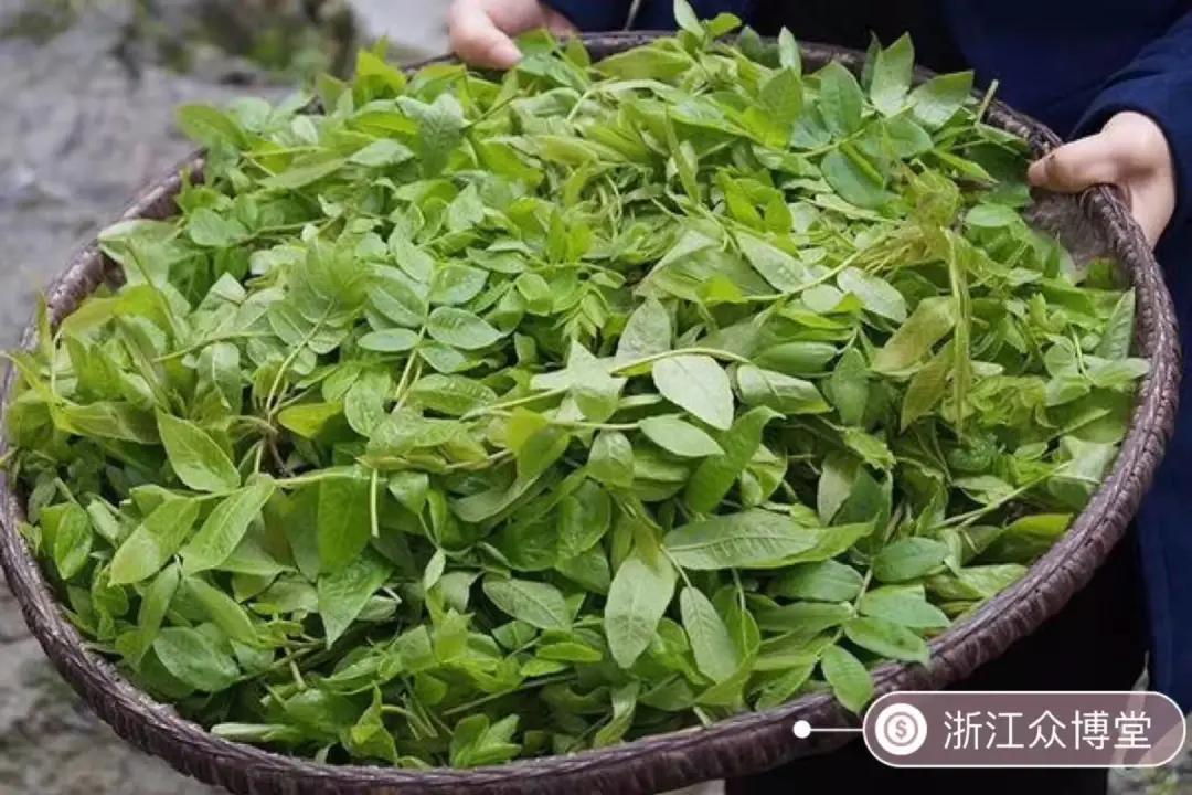 富硒血通茶能降血糖吗(血糖能降茶血通富硒吗)-硒宝网
