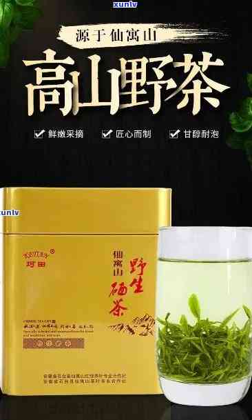仙寓山野茶好不好，探究仙寓山野茶的品质：是否真的好？