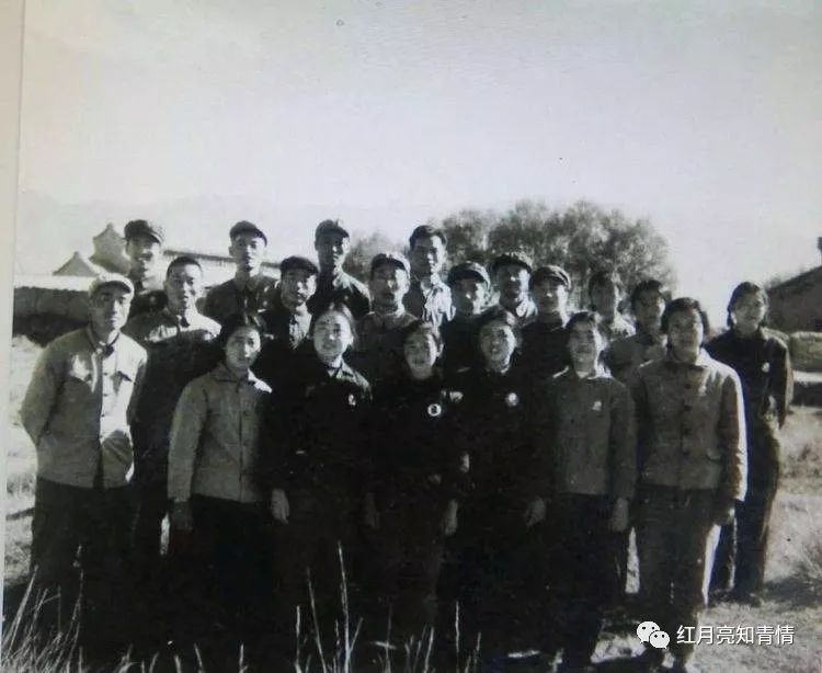 小狗啃石头喂什么微量元素