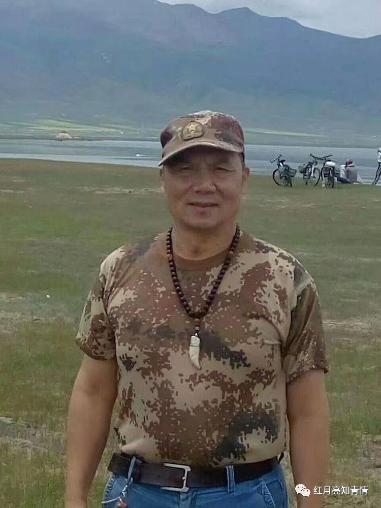 小狗啃石头喂什么微量元素