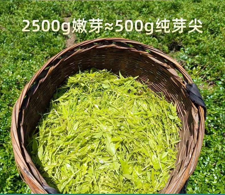 哺乳期可以吃富硒莓茶