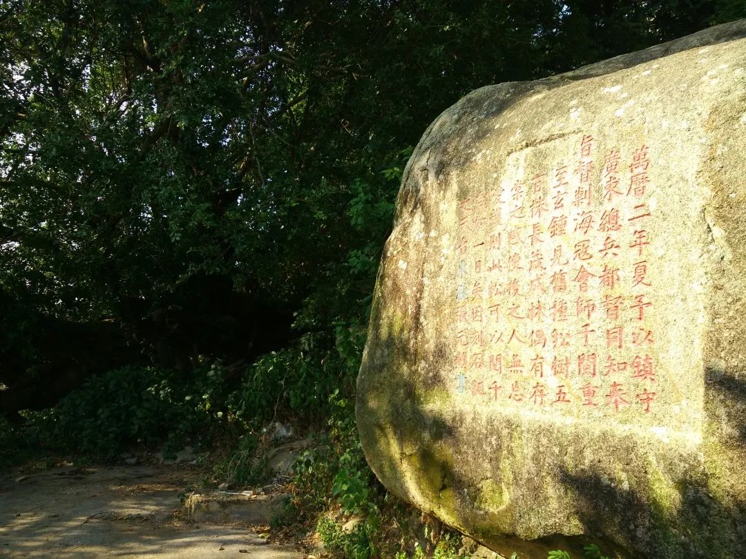 诏安富硒八仙茶的功效