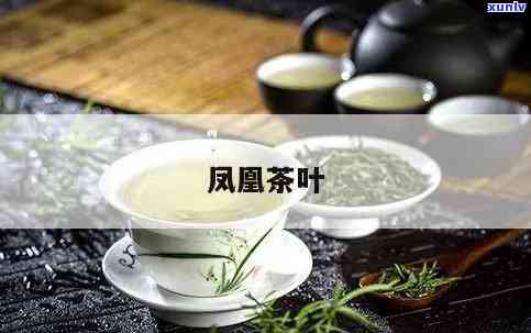 凤茶的功效全解析：究竟有何神奇作用？
