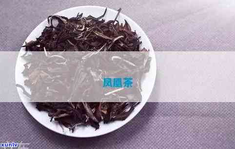 凤茶的功效全解析：究竟有何神奇作用？