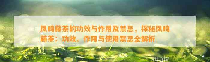 凤鸣藤茶的功效与作用及禁忌，探秘凤鸣藤茶：功效、作用与采用禁忌全解析