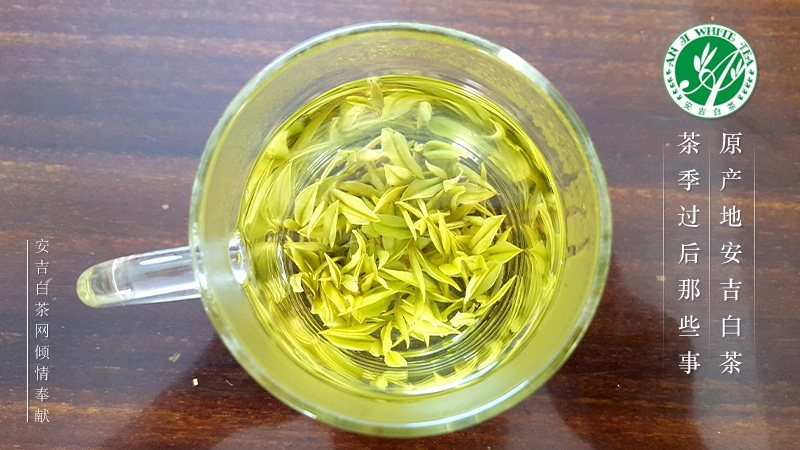 白河县有富硒茶吗一斤