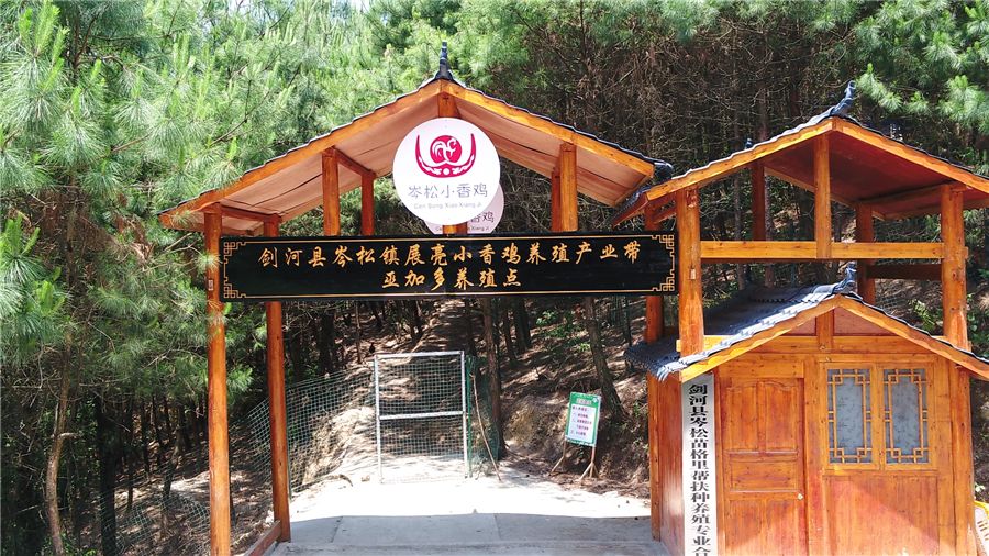 成都富硒大米产地运行(成都大米厂家)-硒宝网